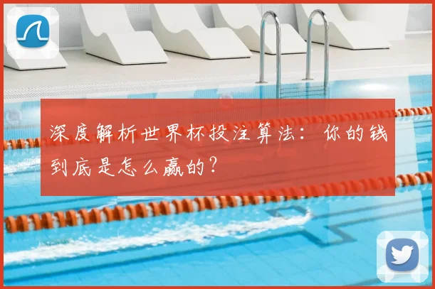 深度解析世界杯投注算法：你的钱到底是怎么赢的？