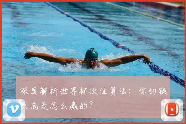 深度解析世界杯投注算法：你的钱到底是怎么赢的？
