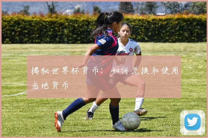 揭秘世界杯货币:如何兑换和使用当地货币