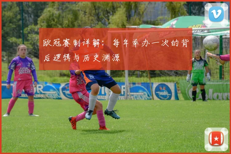 欧冠赛制详解：每年举办一次的背后逻辑与历史渊源